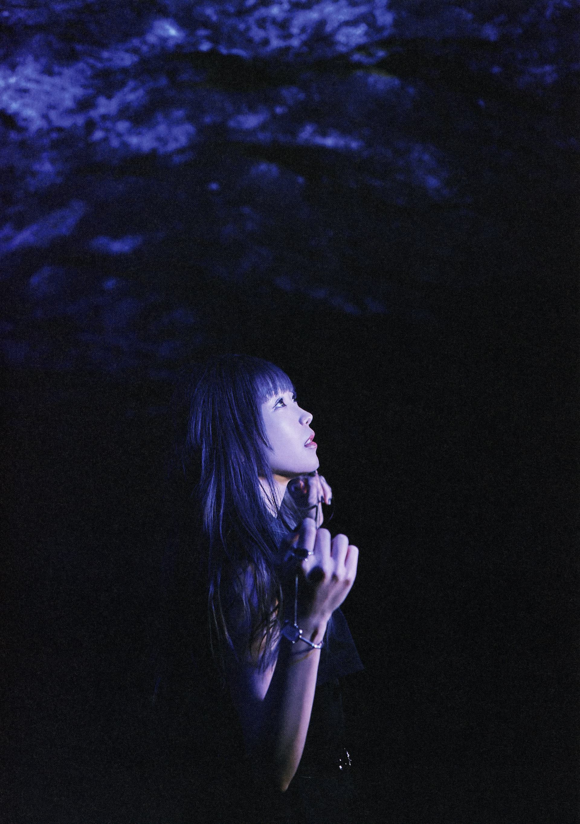 Aimer Photo 4